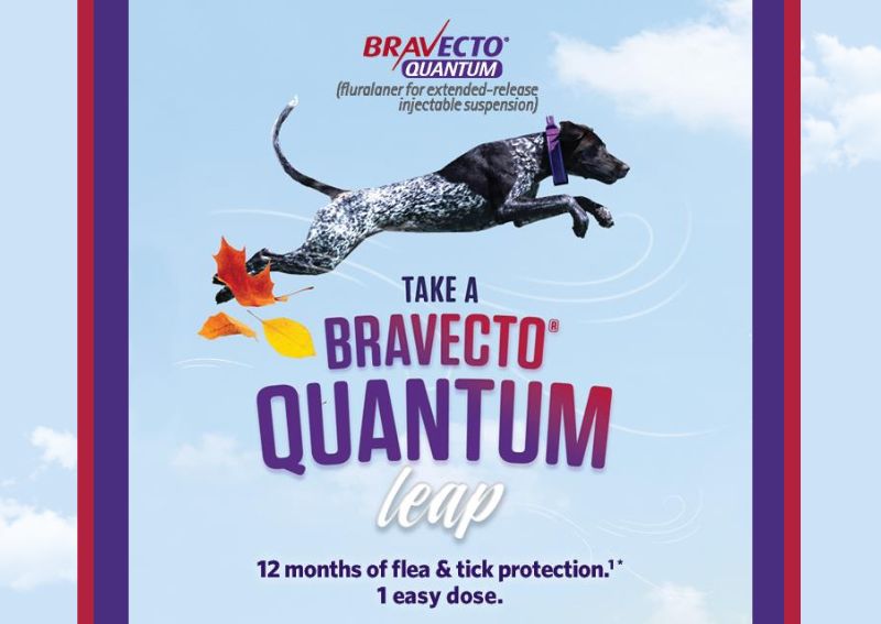 Carousel Slide 1: One simple injection lasts a whole year!